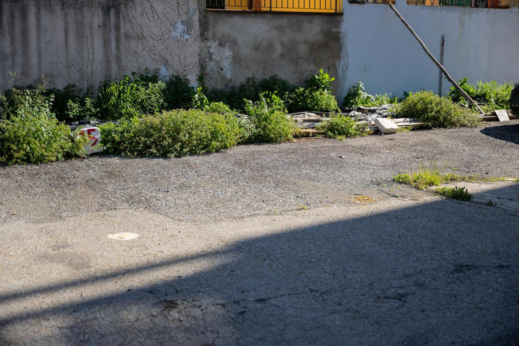Tipica Cozy House + Parking! Daire Floransa Dış mekan fotoğraf